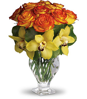 Teleflora's Aloha Sunset from Richardson's Flowers in Medford, NJ